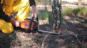 Best Utility Line Clearance  in Fairless Hills, PA